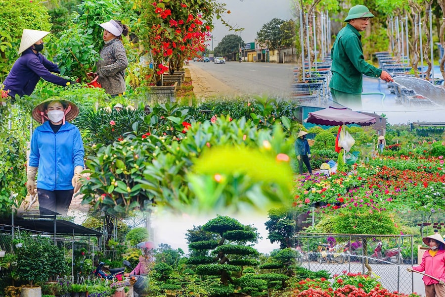 Nghi Ân - từ làng nghề đến trung tâm hoa cây cảnh đô thị