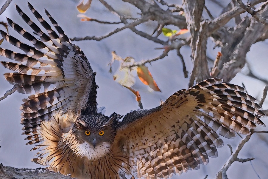 Các điểm du lịch ở xã lớn nhất cả nước, gần bằng một nửa diện tích tỉnh Hưng Yên