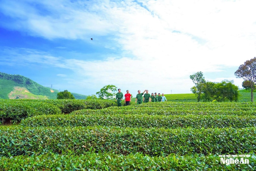 Kỷ niệm 75 năm ngày truyền thống lực lượng Thanh niên xung phong Việt Nam (15/7/1950 - 15/7/2025): Những người 'xanh hóa' đất biên cương