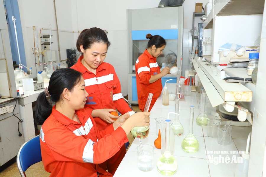 Cơ hội việc làm cho lao động từ 18 - 45 tuổi tại Công ty cổ phần Xi măng Sông Lam