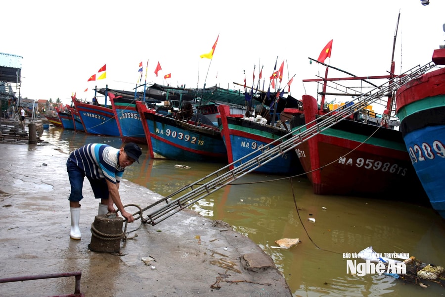 Nghệ An kêu gọi các chủ của 785 tàu cá đang hoạt động trên biển khẩn trương về bờ tránh trú bão số 3