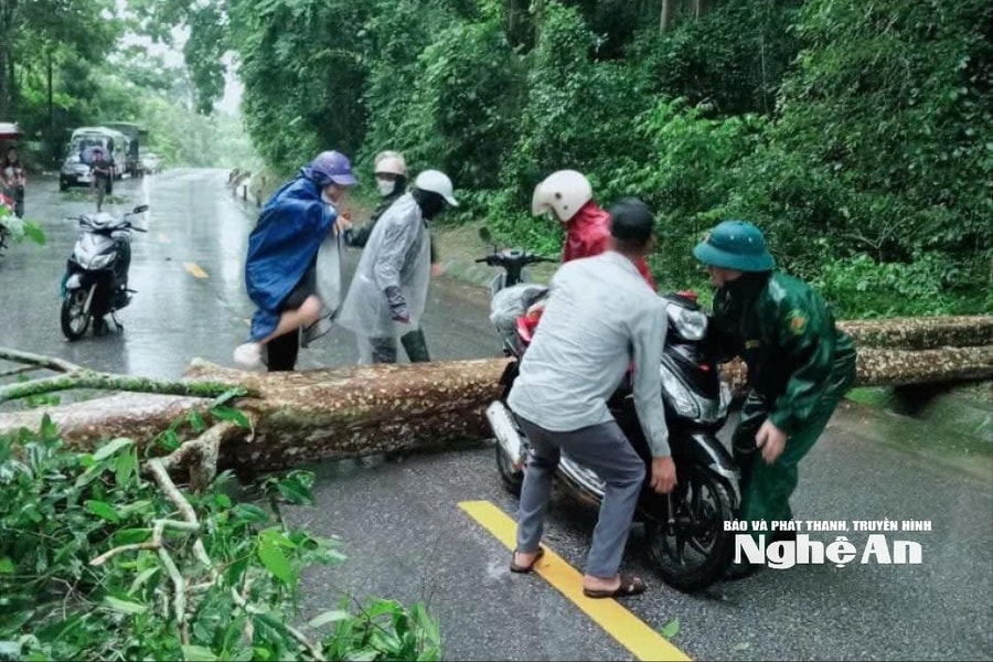 Lực lượng chức năng xử lý nhanh cây cổ thụ đổ chắn ngang Quốc lộ 7 đoạn qua xã Tam Quang, gây ách tắc giao thông