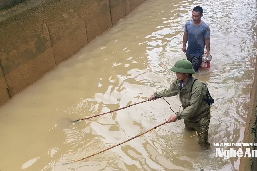 Cảnh báo nguy hiểm khi sử dụng xung điện bắt cá trong mùa mưa lũ