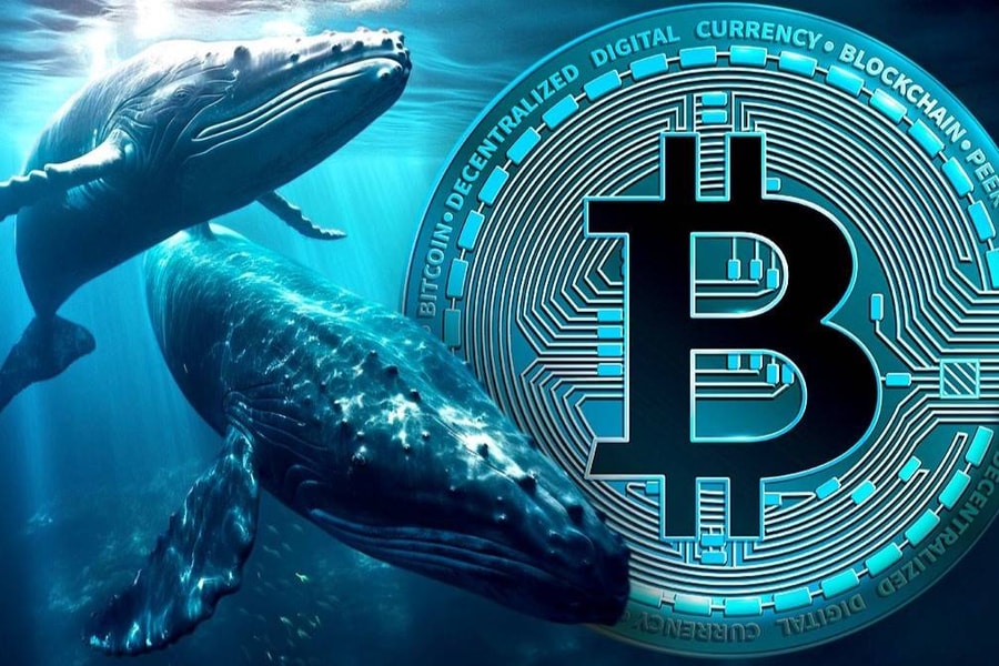 Cá voi Bitcoin chốt lời tỷ USD: Lợi nhuận khủng từ chiến lược HODL