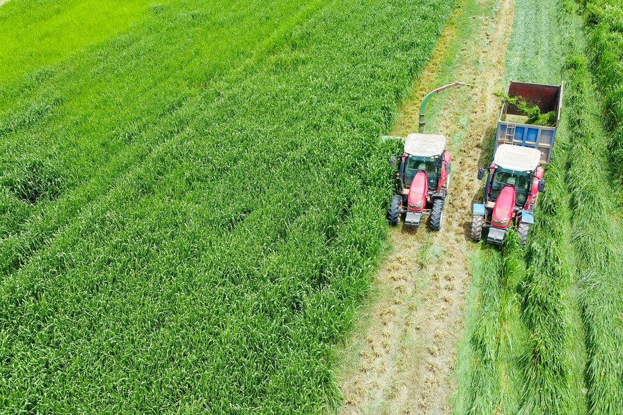 'Mở khóa tự nhiên' tại Green Farm: Mô hình sinh thái của Vinamilk truyền cảm hứng cho doanh nghiệp