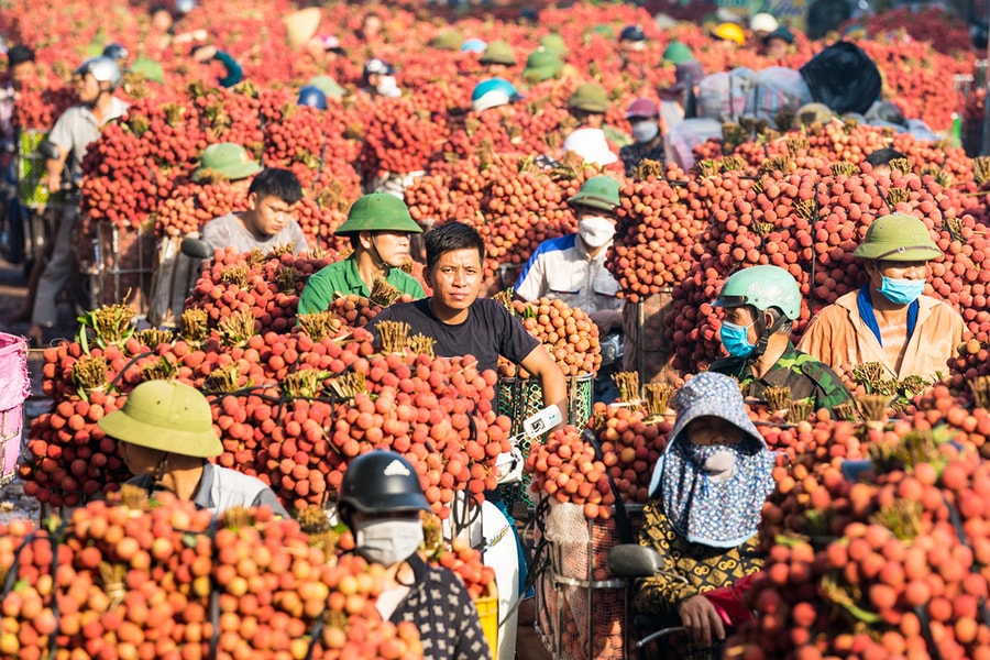 Loại quả ở Việt Nam tạo cơn sốt, xuất khẩu tăng đến 92%
