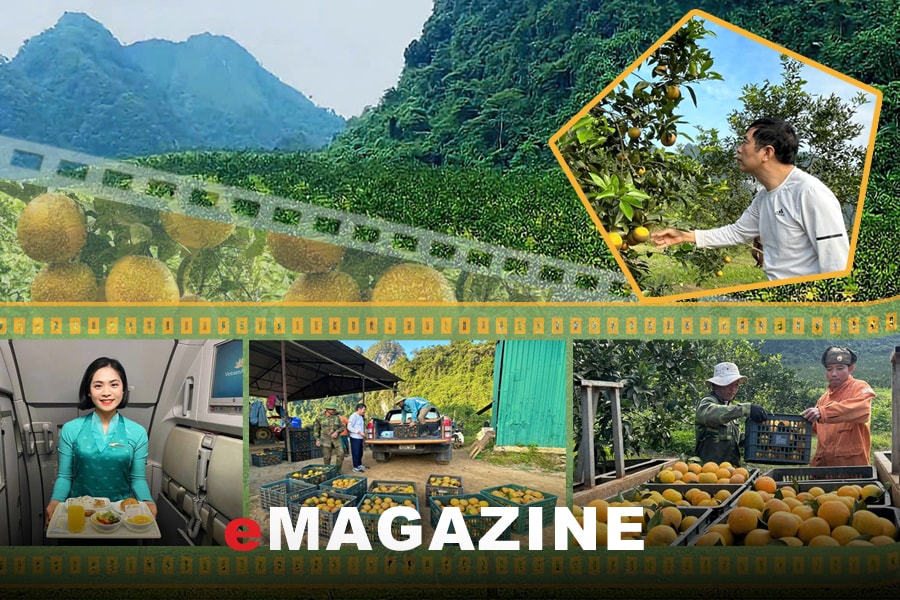 Người đưa đặc sản cam Xã Đoài đến với bàn ăn thế giới