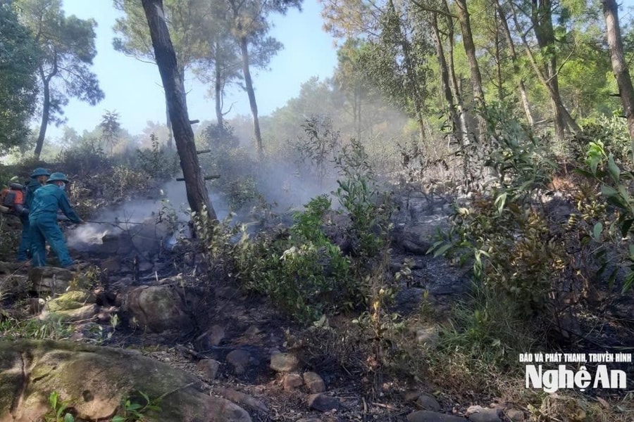 Nghệ An duy trì lực lượng canh gác, phòng nguy cơ cháy rừng trở lại