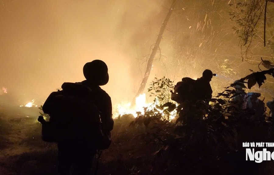 Nhiều khó khăn trong công tác phòng chống cháy rừng ở Nghệ An