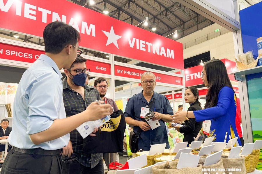 Việt Nam vươn lên top 2 thế giới về xuất khẩu gạo: Cơ hội nào cho lúa gạo Nghệ An?