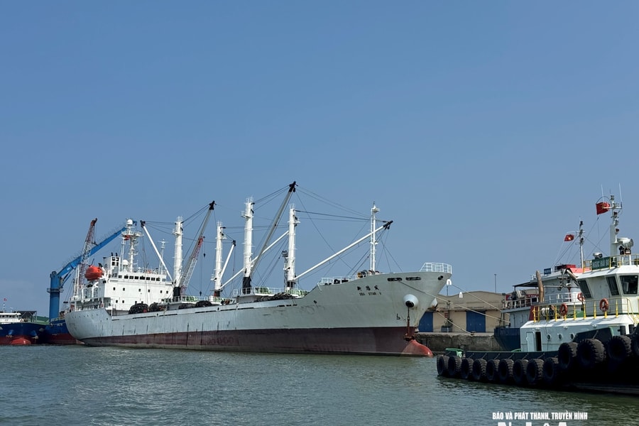 Đề xuất sửa đổi, nâng mức hỗ trợ hãng tàu container qua Cảng Cửa Lò