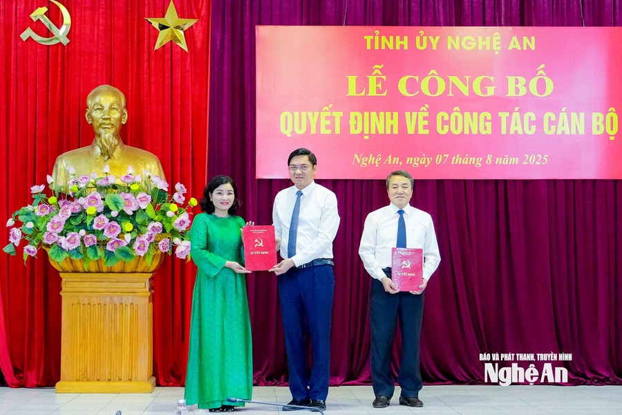 Đồng chí Nguyễn Thị Hồng Hoa giữ chức Phó Chủ nhiệm Ủy ban Kiểm tra Tỉnh ủy Nghệ An