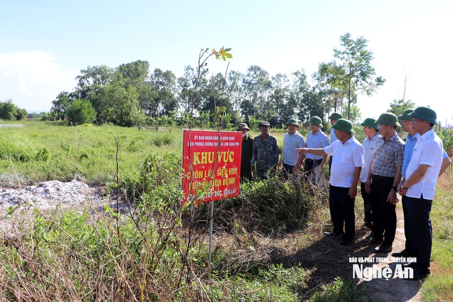 Vì sao nhà nông Nghệ An chưa mặn mà với  bảo hiểm nông nghiệp?