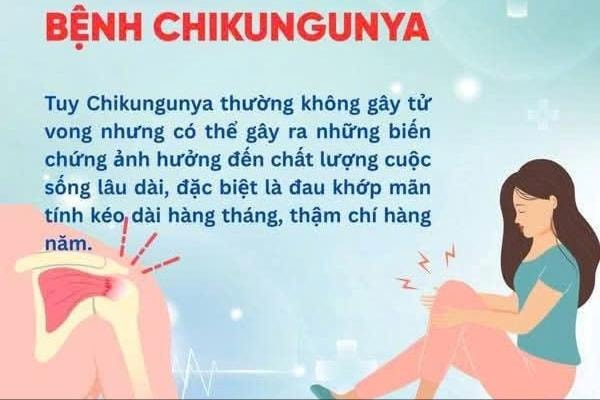 Cảnh báo dịch Chikungunya: Không chủ quan với vết muỗi đốt