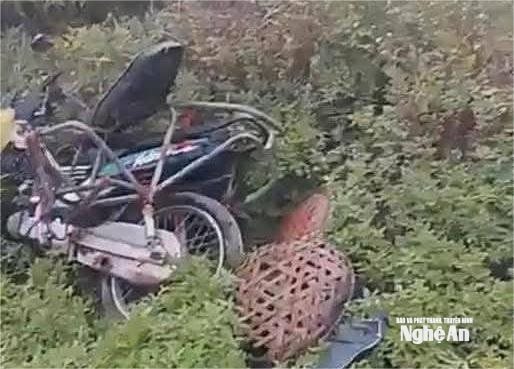 Va chạm với tàu hỏa, người phụ nữ tử vong tại chỗ