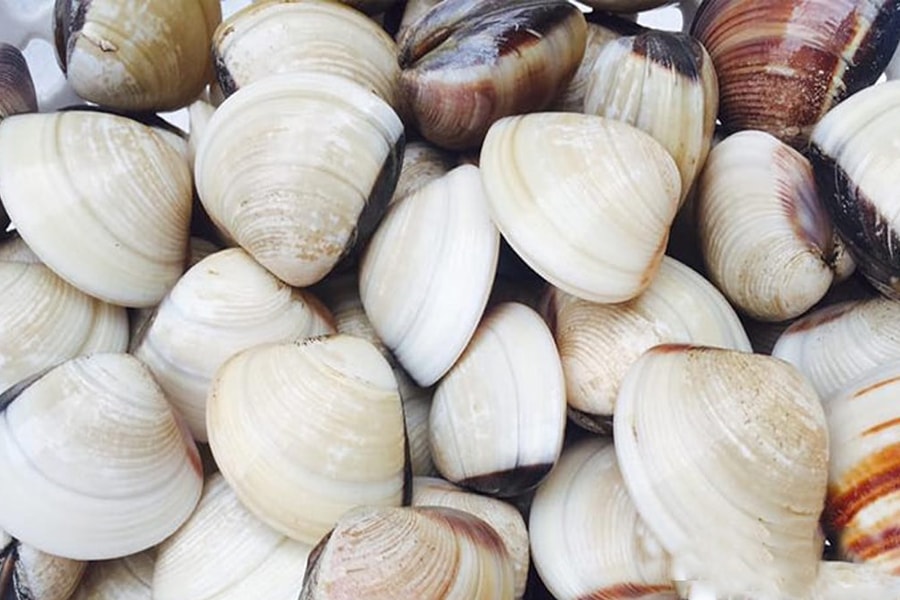 Mẹo nấu ăn: Bí quyết rửa ngao sạch cát trong tích tắc, ai cũng có thể làm được