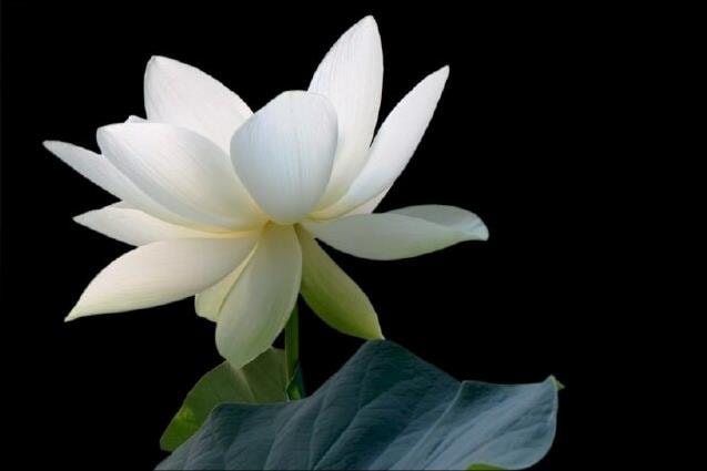 THÔNG BÁO TIN BUỒN