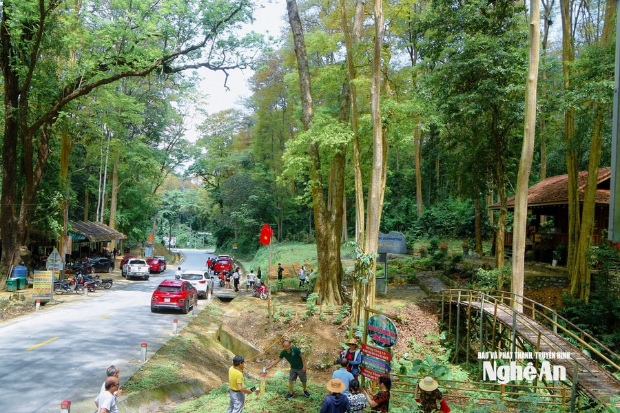 Phát huy tiềm năng, xây dựng Tam Quang vững mạnh toàn diện