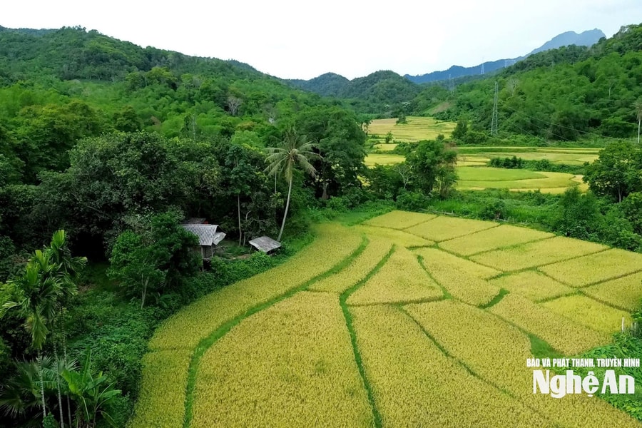 Xây dựng xã Tam Thái trở thành điểm sáng vùng biên giới Tây Nam Nghệ An