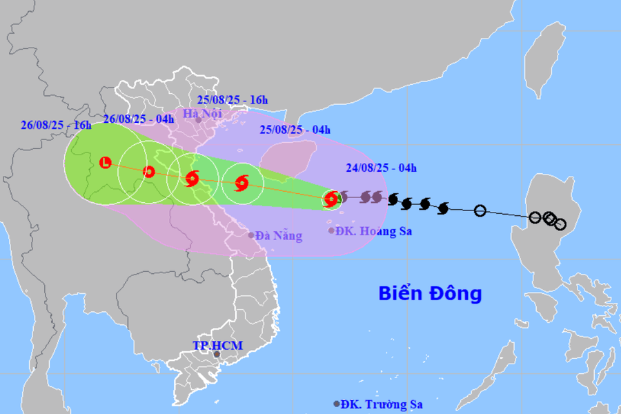 Thường trực Tỉnh ủy Nghệ An chỉ đạo khẩn tập trung ứng phó khẩn cấp bão số 5