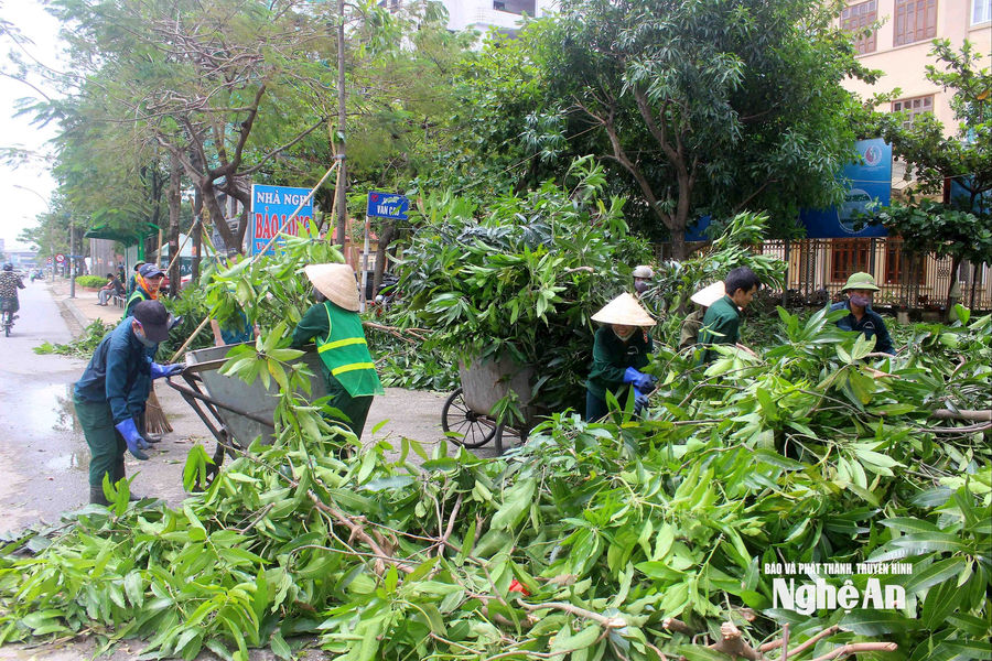 Chủ động cắt tỉa cây xanh, sẵn sàng ứng phó mưa bão