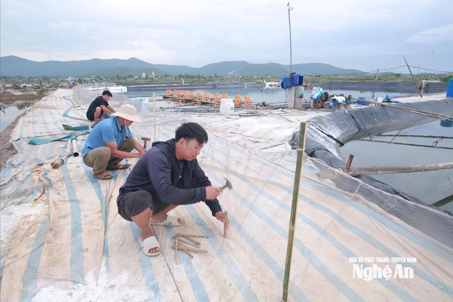 Gia cố ao hồ nuôi trồng thuỷ sản phòng ngập do mưa to