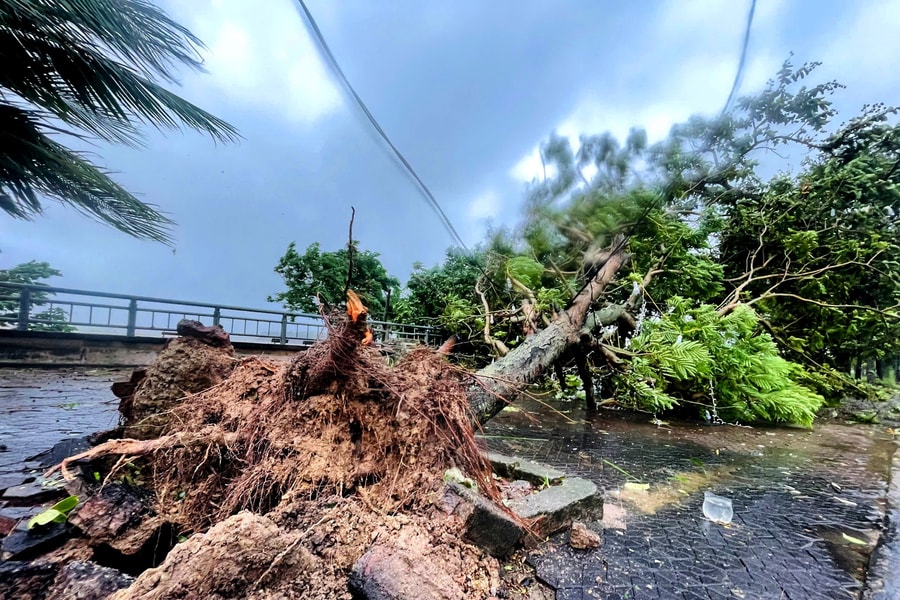 CẬP NHẬT: Bão số 5 quét qua Nghệ An, gió rít liên hồi, nhiều cây xanh ngã đổ