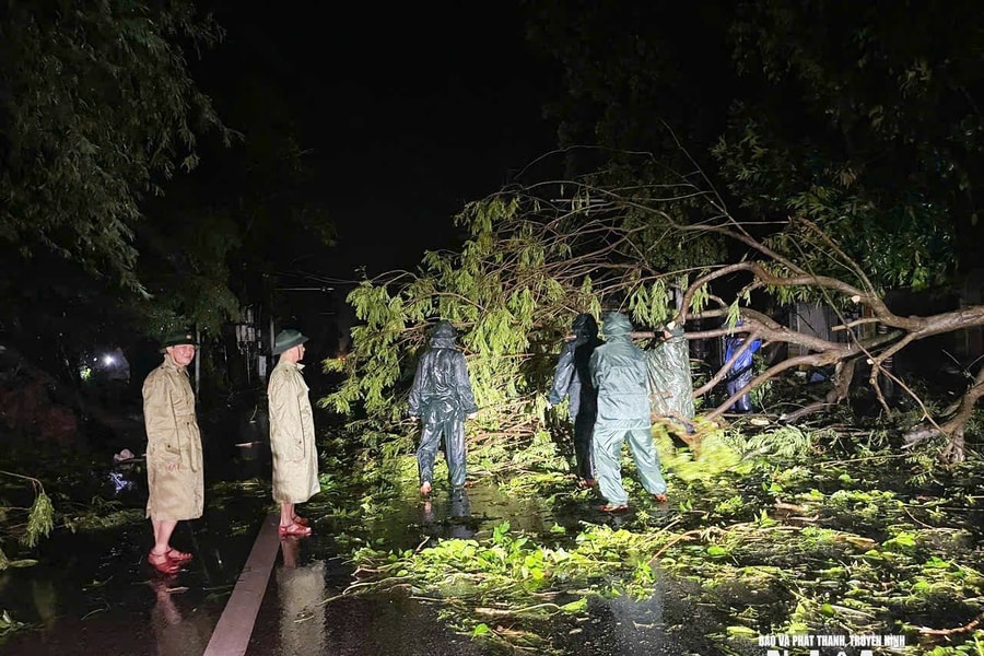 Bộ Chỉ huy Quân sự tỉnh Nghệ An huy động cán bộ, chiến sĩ  dọn dẹp cây đổ sau bão số 5