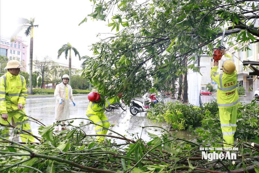 Cảnh sát giao thông Nghệ An kịp thời xử lý cây gãy đổ, đảm bảo an toàn giao thông sau bão số 5