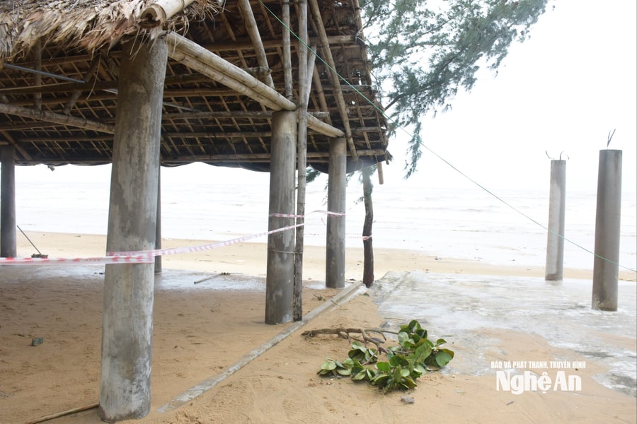 Phát hiện thi thể nam giới trôi dạt vào bờ biển phường Quỳnh Mai