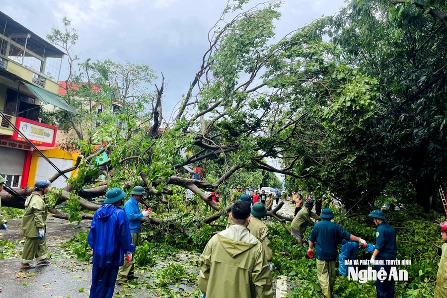Xuyên trưa cắt dọn cây gãy đổ, nhanh chóng đảm bảo giao thông an toàn cho người dân