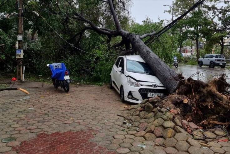 Nhiều ô tô ở Nghệ An bị cây đè do bão số 5