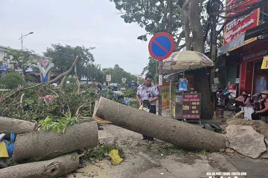 Hơn một nửa cây xanh đô thị ở TP. Vinh (cũ) bị gãy, đổ do bão số 5