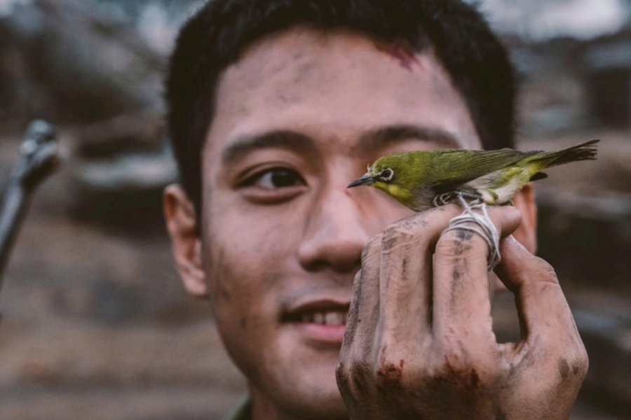 'Mưa đỏ' vượt mốc 200 tỷ đồng, lập kỷ lục cho phim chiến tranh Việt Nam