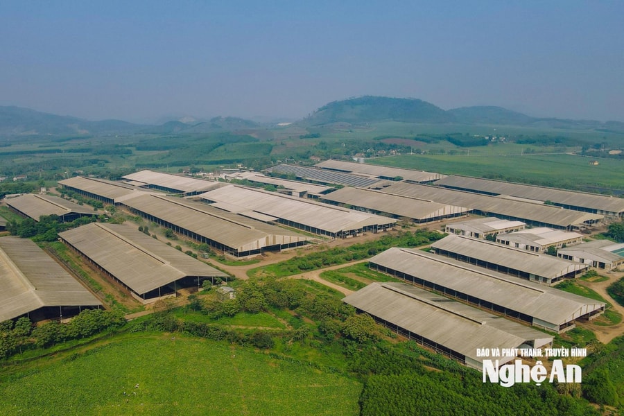 Thúc đẩy các dự án phát triển điện lực, năng lượng trên địa bàn Nghệ An