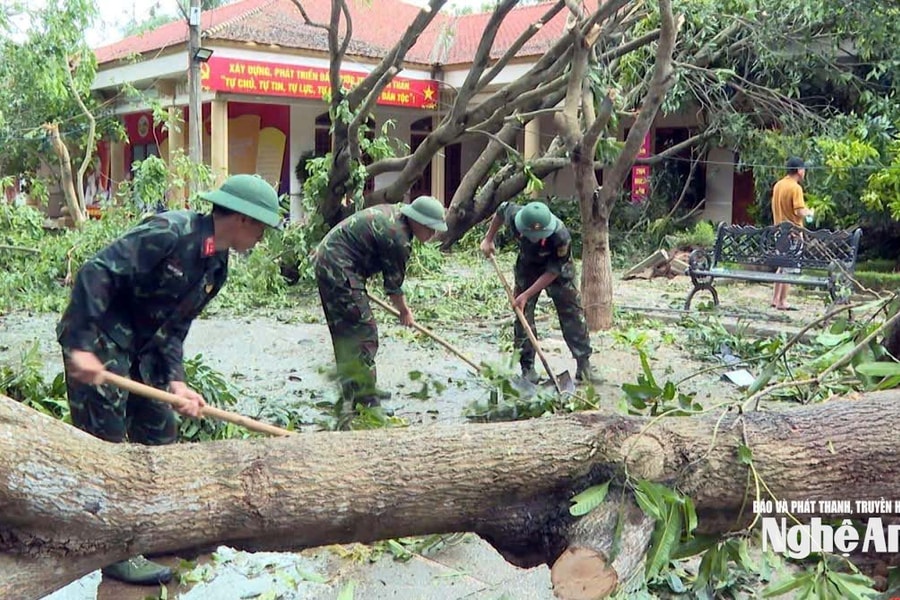Lực lượng quân đội tham gia khắc phục hậu quả bão số 5 tại Khu di tích Quốc gia đặc biệt Kim Liên