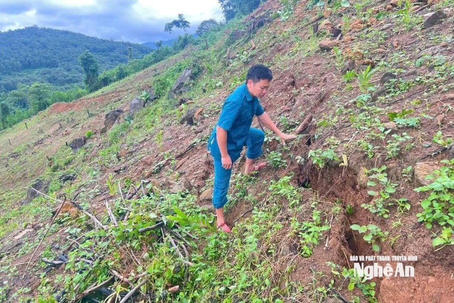 Phát hiện vết nứt dài cả trăm mét trên sườn núi, xã vùng cao Nghệ An cử người canh gác để di dời dân