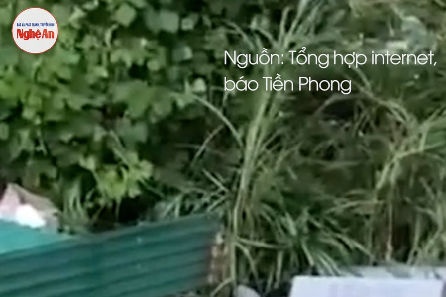 Nghệ An: Sạt lở bờ sông Lam cuốn trôi nhà dân và trạm sạc xe điện