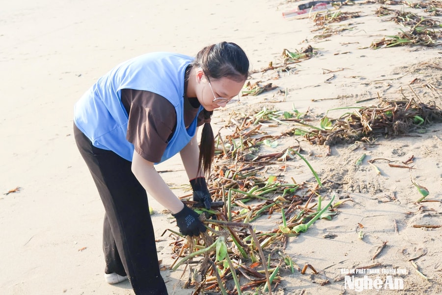 Học sinh Nghệ An chung tay dọn rác, 'chữa lành' bãi biển Cửa Lò sau bão
