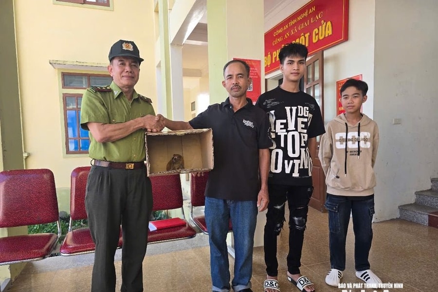 Người dân Nghệ An trao trả cá thể culi quý hiếm cho kiểm lâm Yên Thành