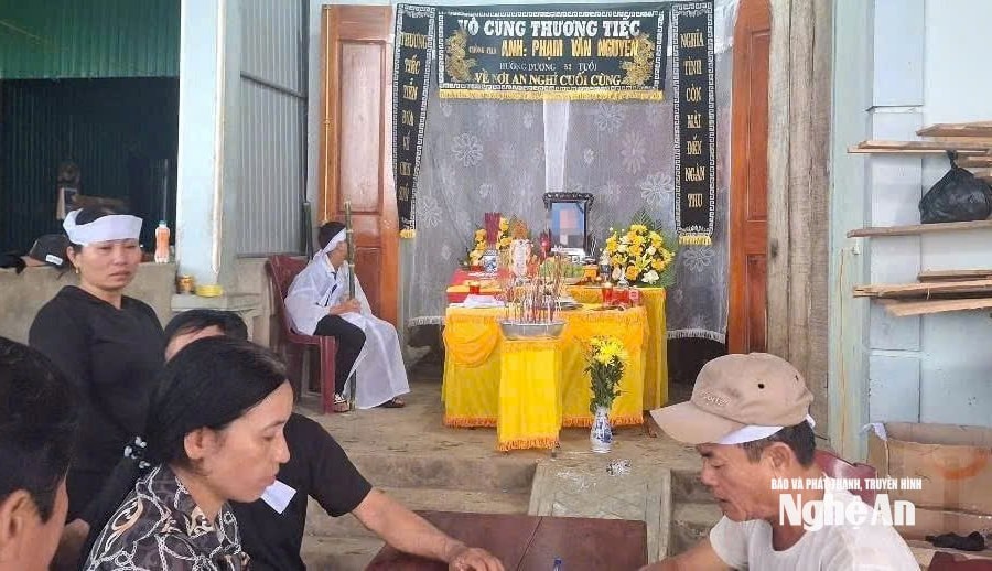 Đi cắt cỏ, người đàn ông ở Anh Sơn bị ong đốt tử vong