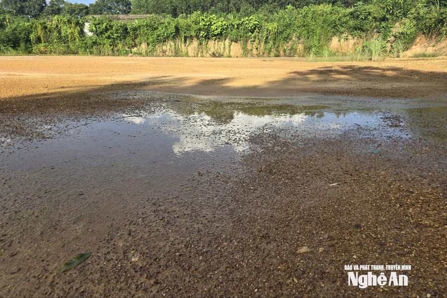 Công an vào cuộc vụ nhà thầu bị tố lợi dụng được thuê cải tạo sân bóng rồi bán hàng nghìn xe tải đất
