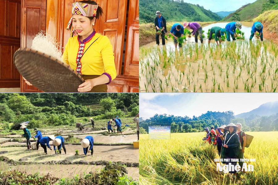 Na Loi: Vùng biên cương xây dựng mục tiêu phát triển bền vững