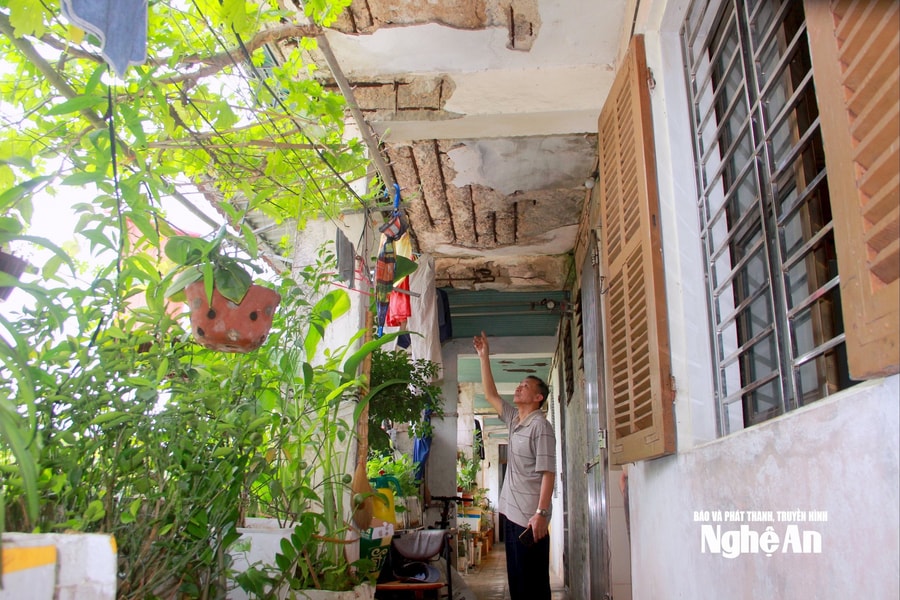 Cần đẩy nhanh tiến độ tái định cư cho người dân khu chung cư Quang Trung