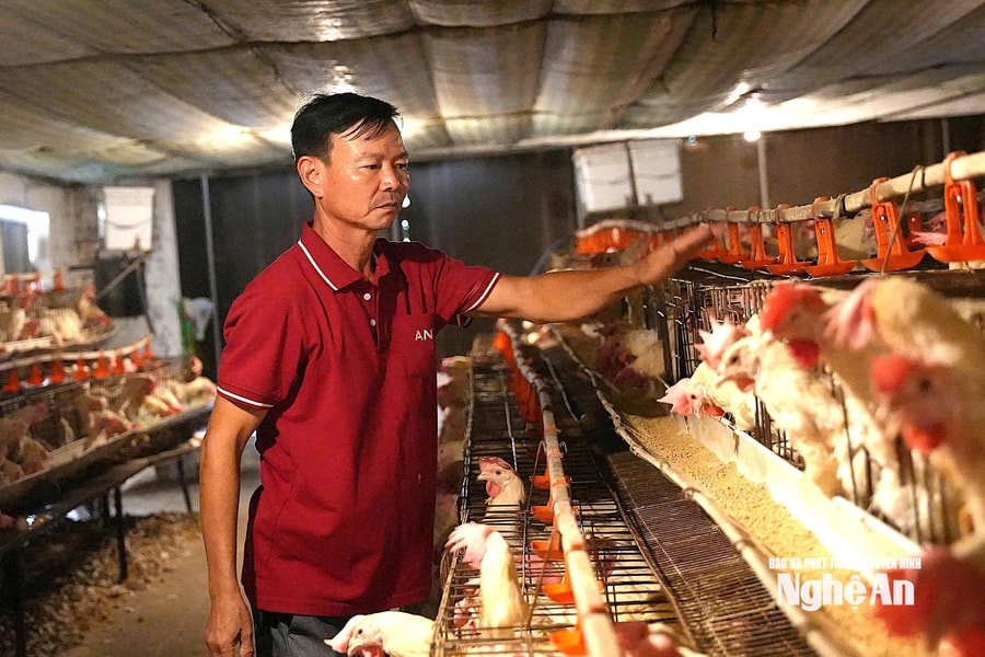 Bước đi khác biệt của nông dân Việt Nam xuất sắc Trần Xuân Sơn