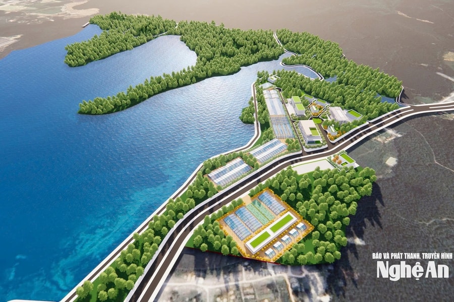 Cơ hội và động lực bứt phá mới trong chế biến gỗ và lâm sản ở Nghệ An