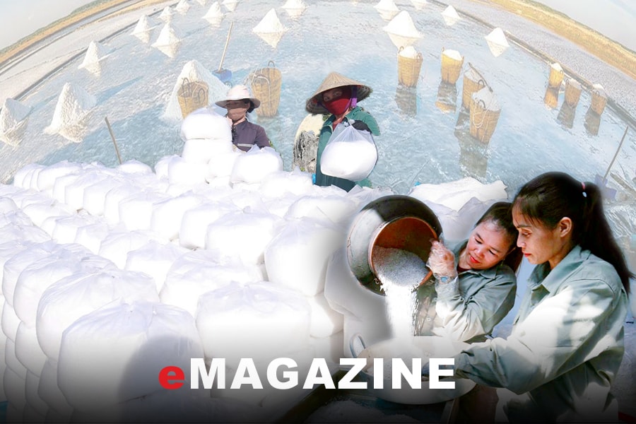 Những diêm dân thế hệ mới