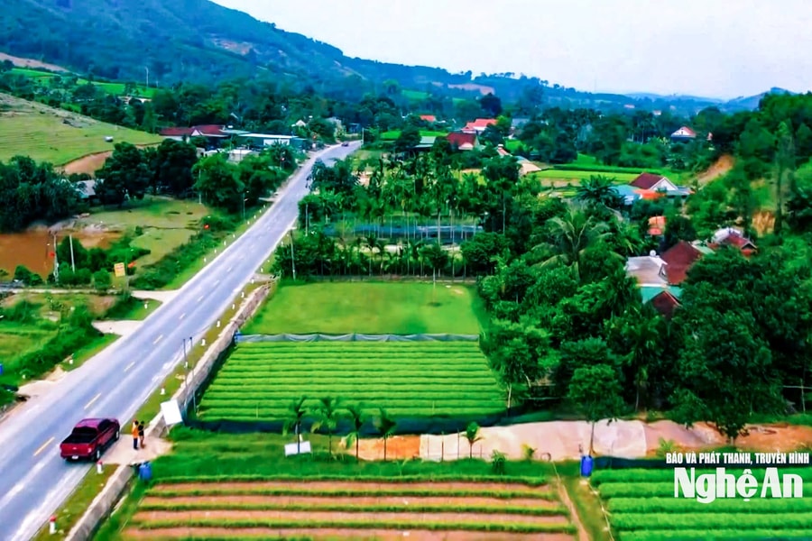 Xã Tam Đồng và hành trình vươn lên nông thôn mới kiểu mẫu