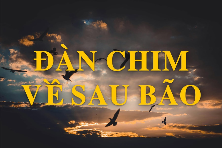 Truyện ngắn: Đàn chim về sau bão