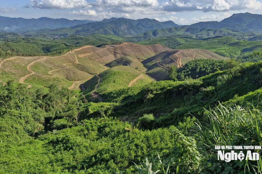 Nghĩ ở 'rốn vàng' Tà Sỏi…